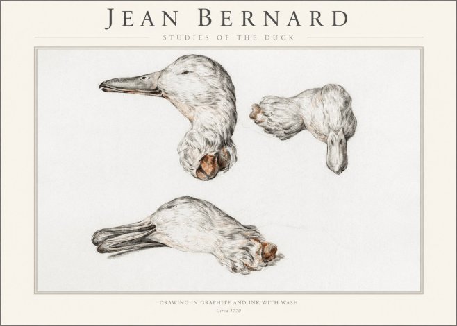 Jean Bernard Studies of the Duck No1 - Póster