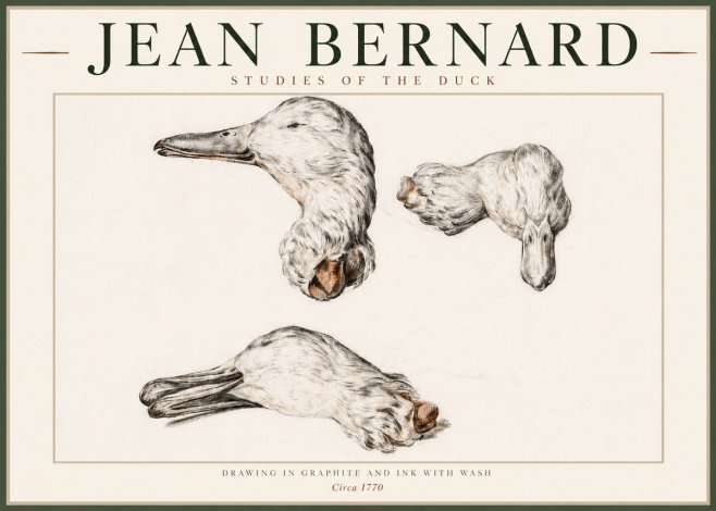 Jean Bernard Studies of the Duck No4 - Póster