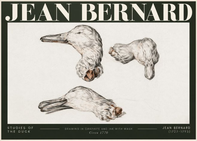 Jean Bernard Studies of the Duck No5 - Póster