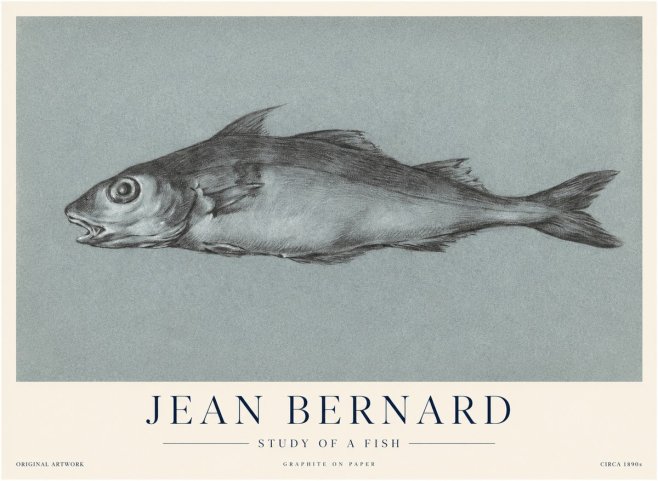 Jean Bernard Fish Study I No4 - Póster