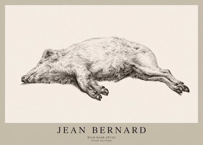 Jean Bernard Wild Boar Study No1 - Póster