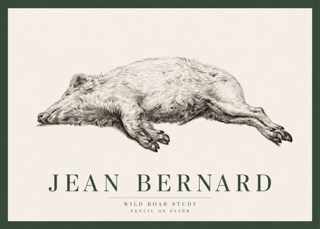 Jean Bernard Wild Boar Study No2 - Póster