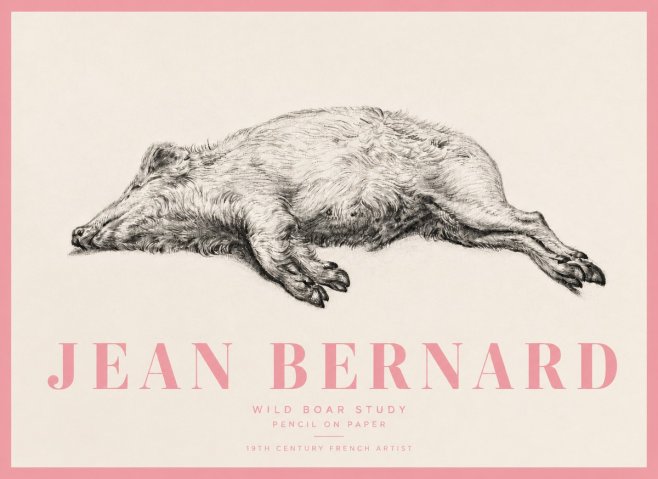 Jean Bernard Wild Boar Study No5 - Póster