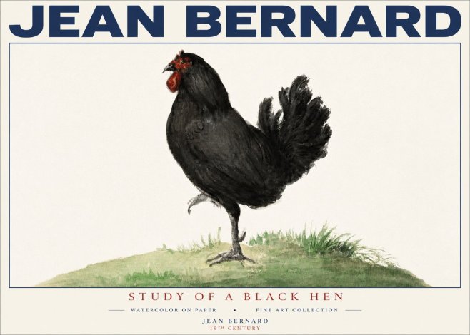 Jean Bernard Study of a Black Hen No4 - Póster