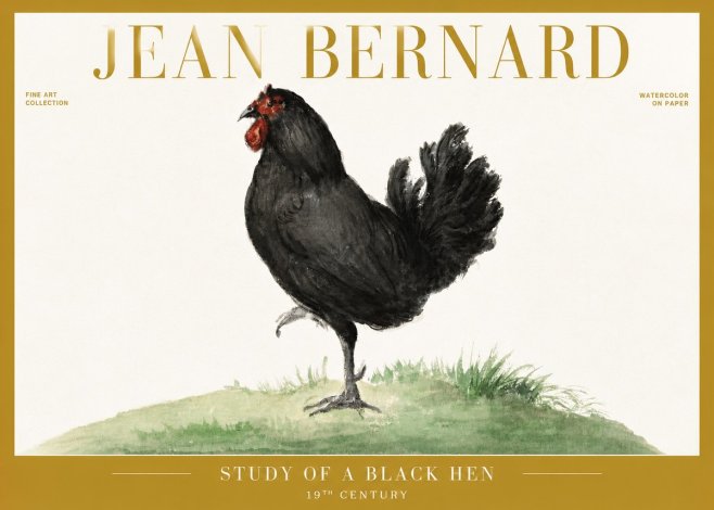 Jean Bernard Study of a Black Hen No6 - Póster