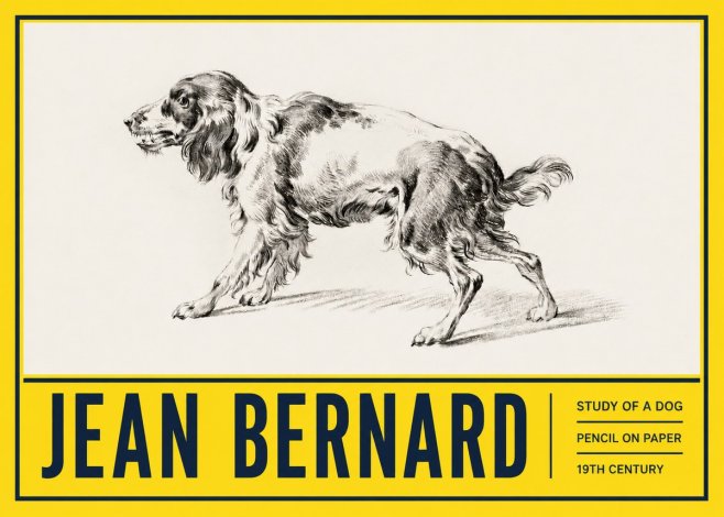 Jean Bernard Study of a Dog V No5 - Póster