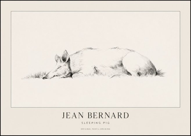 Jean Bernard Sleeping Pig II No1 - Póster