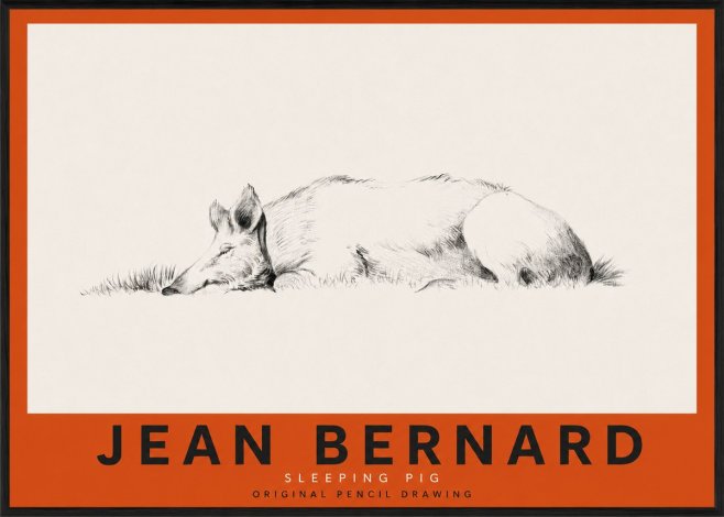 Jean Bernard Sleeping Pig II No3 - Póster
