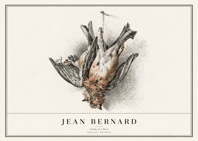 Jean Bernard Study of a Bird IV No1 - Póster