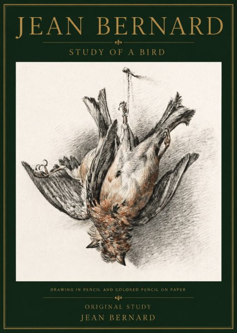 Jean Bernard Study of a Bird IV No5 - Póster