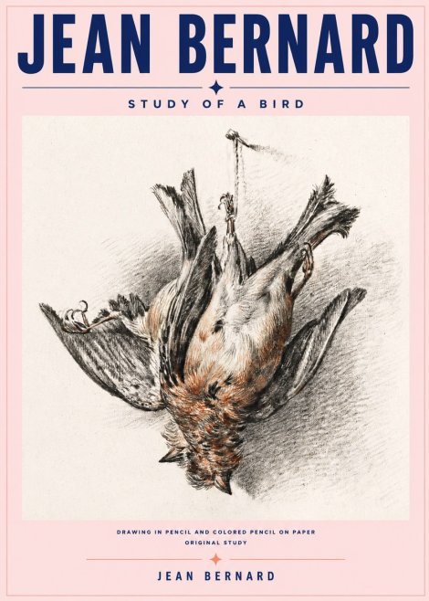 Jean Bernard Study of a Bird IV No6 - Póster