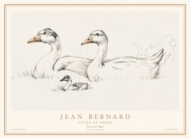Jean Bernard Study of Geese No1 - Póster