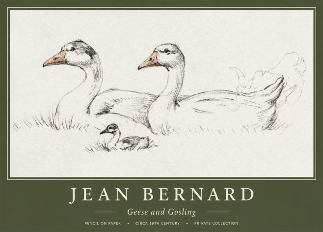 Jean Bernard Study of Geese No2 - Póster