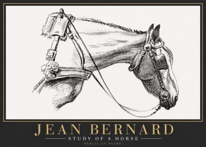 Jean Bernard Study of a Horse XVIII No6 - Póster
