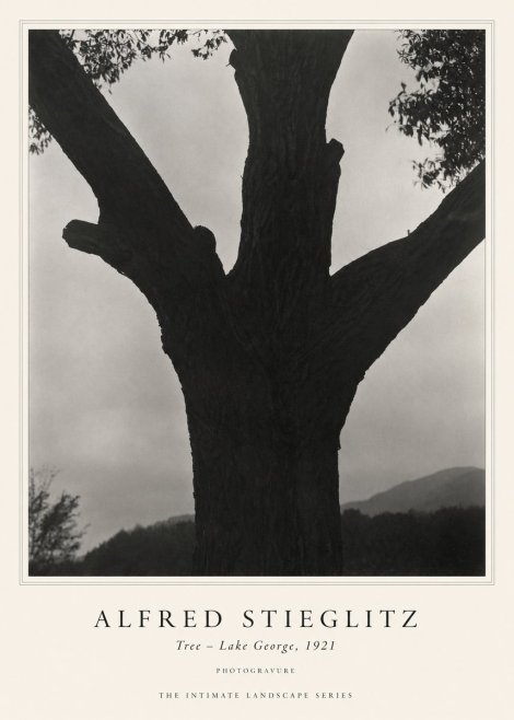 Alfred Stieglitz Tree - Lake George, 1921 No1 - Póster