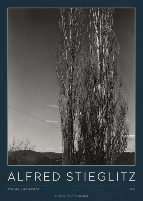 Alfred Stieglitz Trees - Lake George, 1921 No4 - Póster