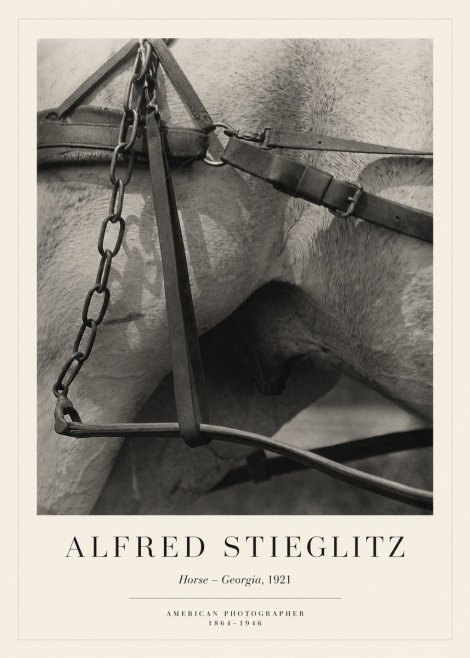 Alfred Stieglitz The Steerage I No6 - Póster