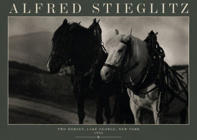 Alfred Stieglitz Two Horses, Lake George, New York No3 - Póster