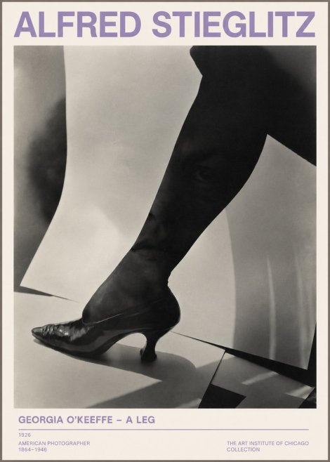 Alfred Stieglitz Georgia O'keeffe – a Leg No3 - Póster