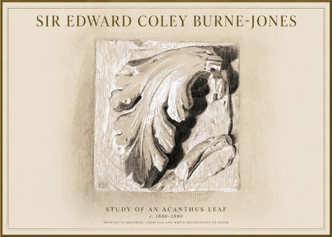 Edward Burne-Jones Study of an Acanthus Leaf No1 - Póster