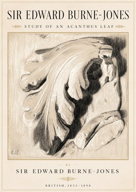 Edward Burne-Jones Study of an Acanthus Leaf No2 - Póster