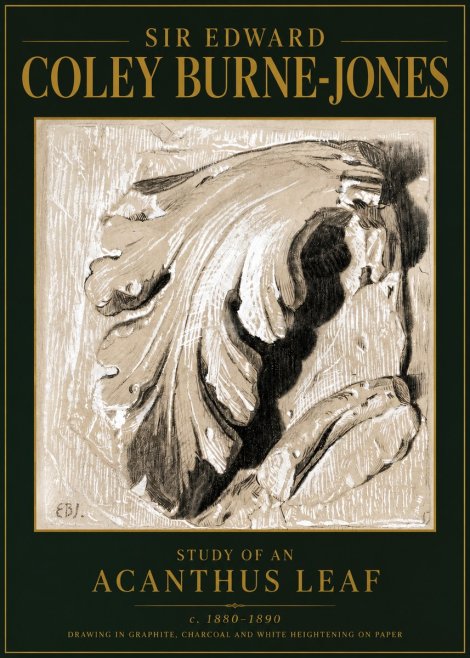 Edward Burne-Jones Study of an Acanthus Leaf No5 - Póster