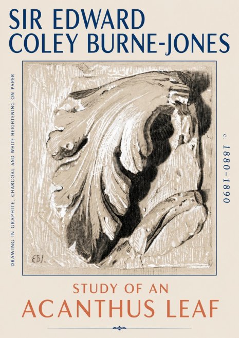 Edward Burne-Jones Study of an Acanthus Leaf No6 - Póster