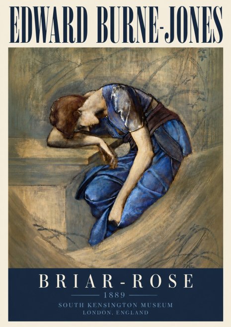 Edward Burne-Jones Briar-rose No4 - Póster