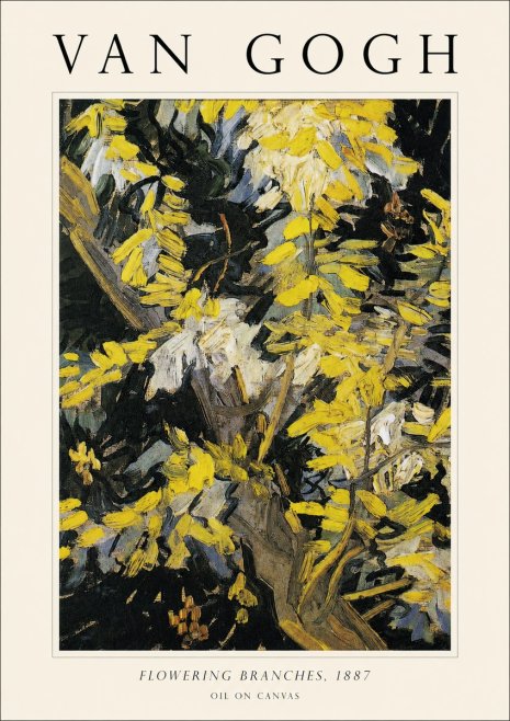 Van Gogh Flowering Branches, 1887 No1 - Póster