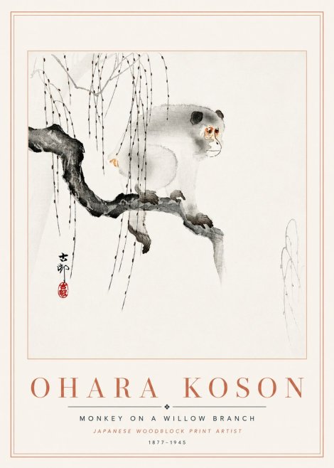 Ohara Koson Monkey on a Willow Branch No6 - Póster