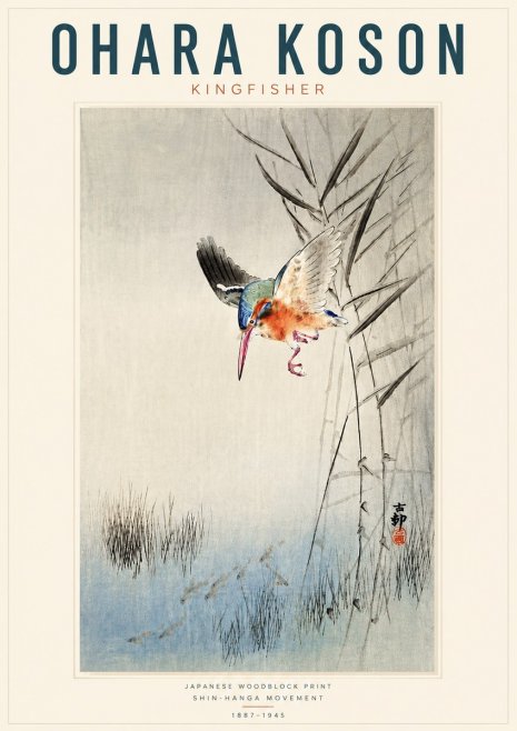 Ohara Koson Kingfisher No4 - Póster