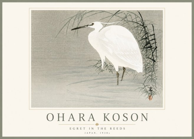 Ohara Koson Egret in the Reeds No5 - Póster