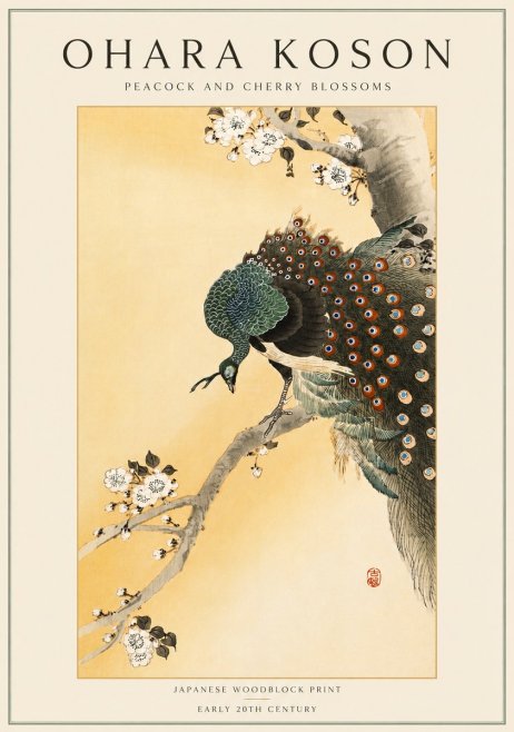 Ohara Koson Peacock and Cherry Blossoms No4 - Póster