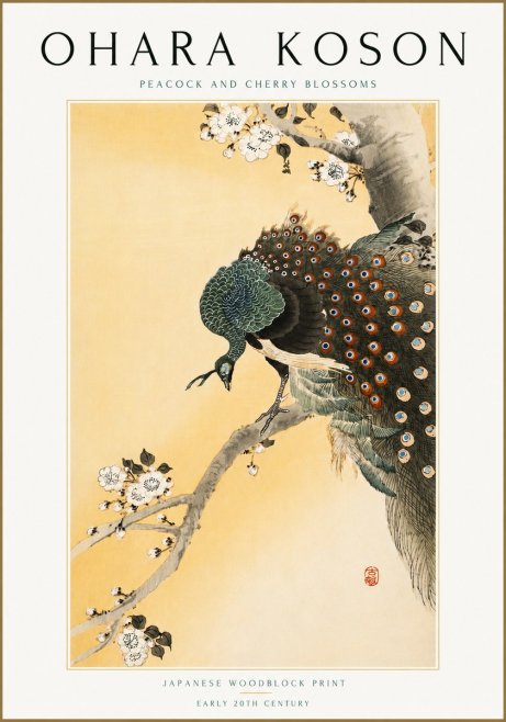 Ohara Koson Peacock and Cherry Blossoms No5 - Póster
