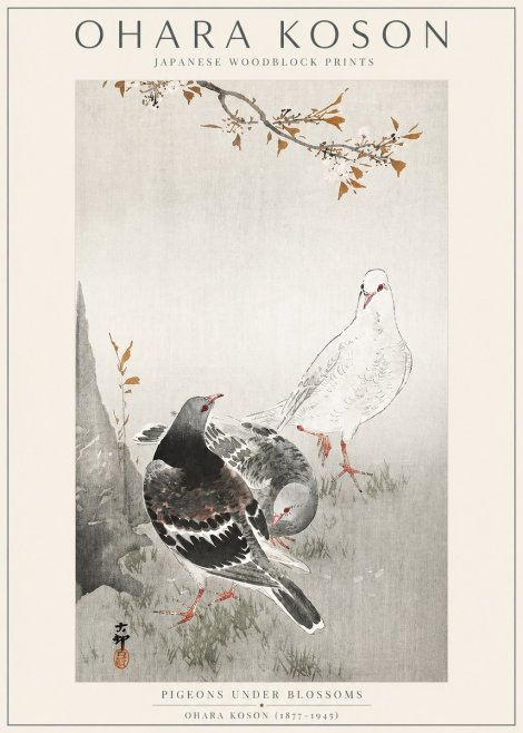 Ohara Koson Pigeons Under Blossoms No3 - Póster