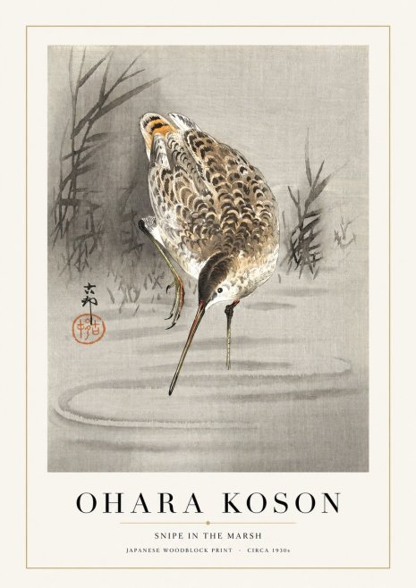 Ohara Koson Snipe in the Marsh No1 - Póster