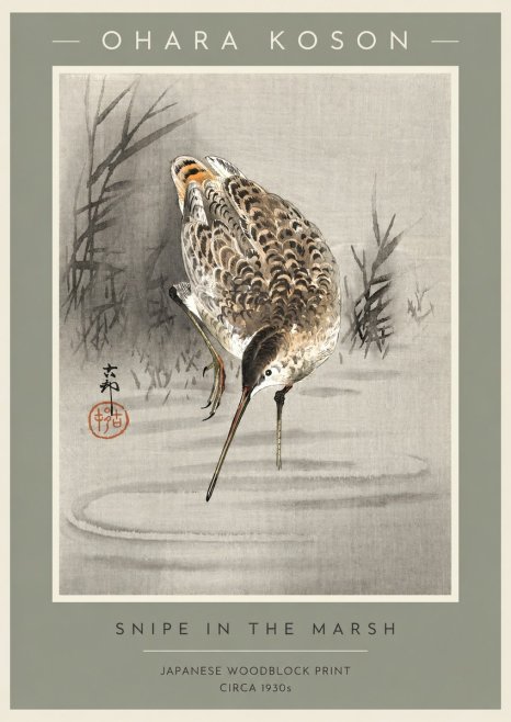 Ohara Koson Snipe in the Marsh No2 - Póster