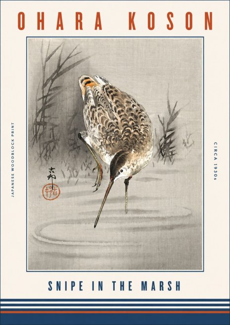 Ohara Koson Snipe in the Marsh No3 - Póster