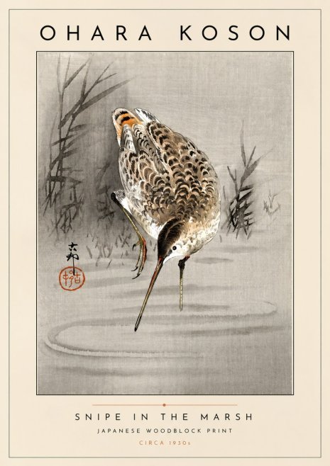 Ohara Koson Snipe in the Marsh No4 - Póster