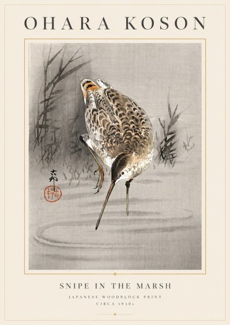 Ohara Koson Snipe in the Marsh No6 - Póster
