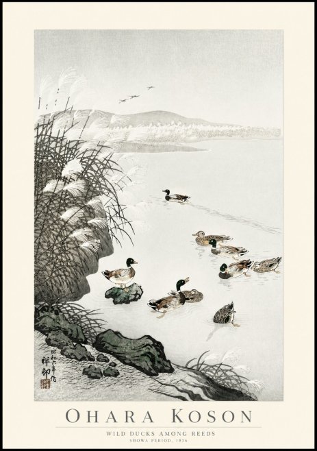 Ohara Koson Wild Ducks Among Reeds No1 - Póster