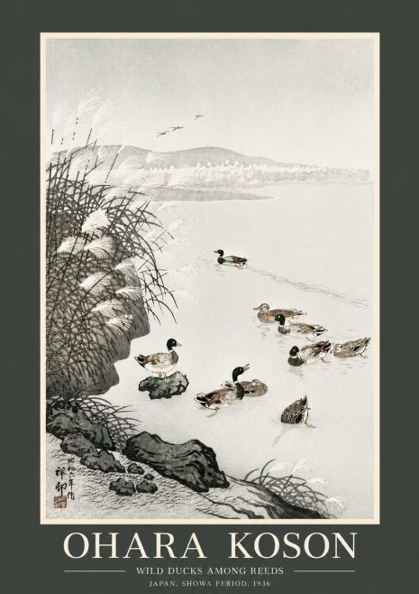 Ohara Koson Wild Ducks Among Reeds No2 - Póster