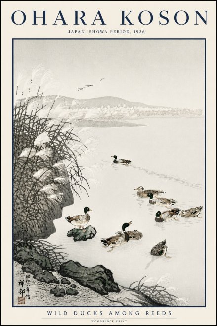 Ohara Koson Wild Ducks Among Reeds No3 - Póster