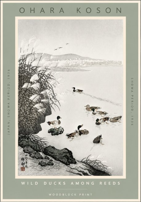 Ohara Koson Wild Ducks Among Reeds No4 - Póster