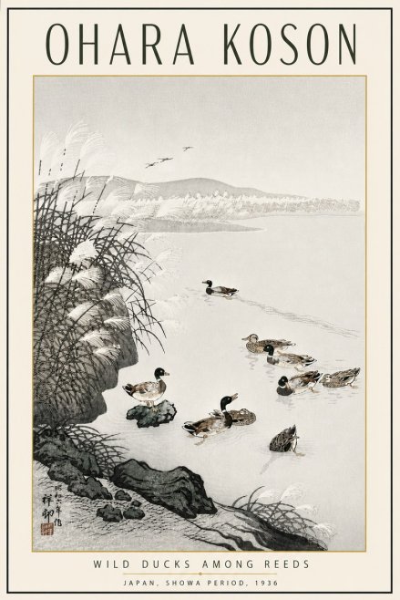 Ohara Koson Wild Ducks Among Reeds No5 - Póster