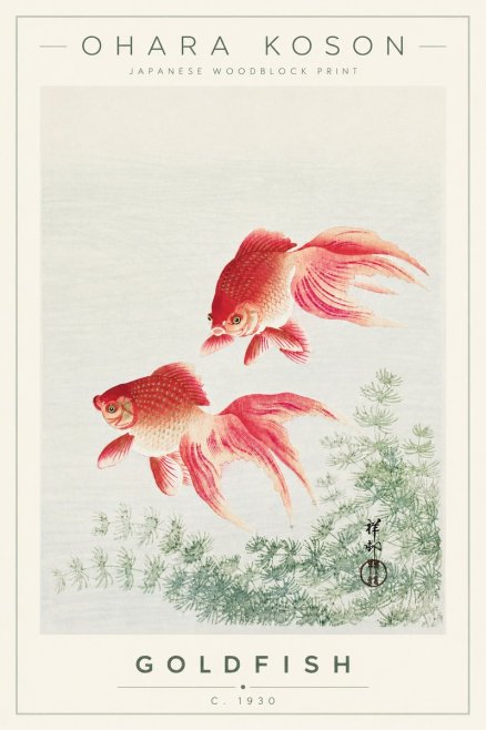 Ohara Koson Goldfish No4 - Póster