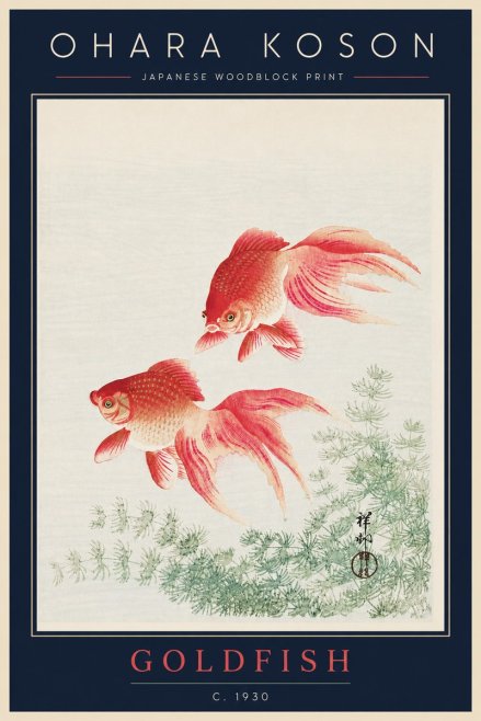 Ohara Koson Goldfish No5 - Póster