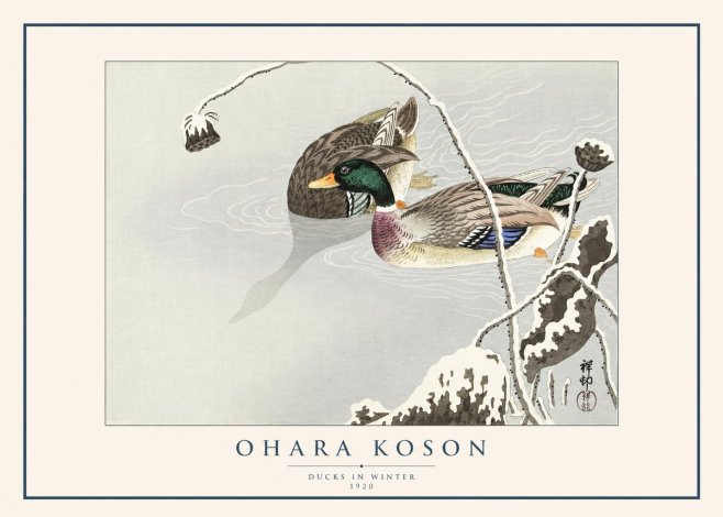 Ohara Koson Ducks in Winter No1 - Póster