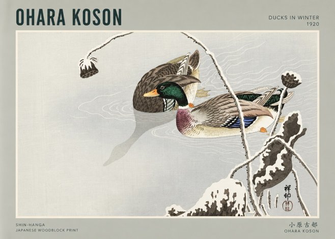 Ohara Koson Ducks in Winter No3 - Póster