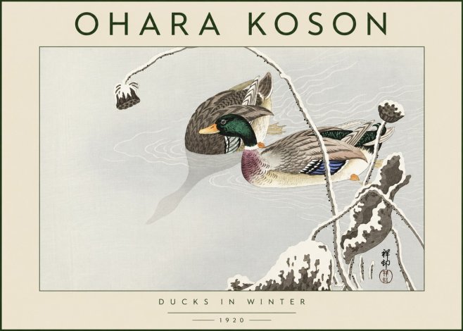 Ohara Koson Ducks in Winter No4 - Póster